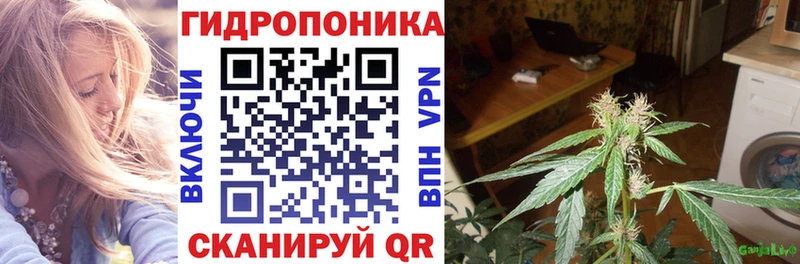 магазин    Медвежьегорск  МАРИХУАНА марихуана 
